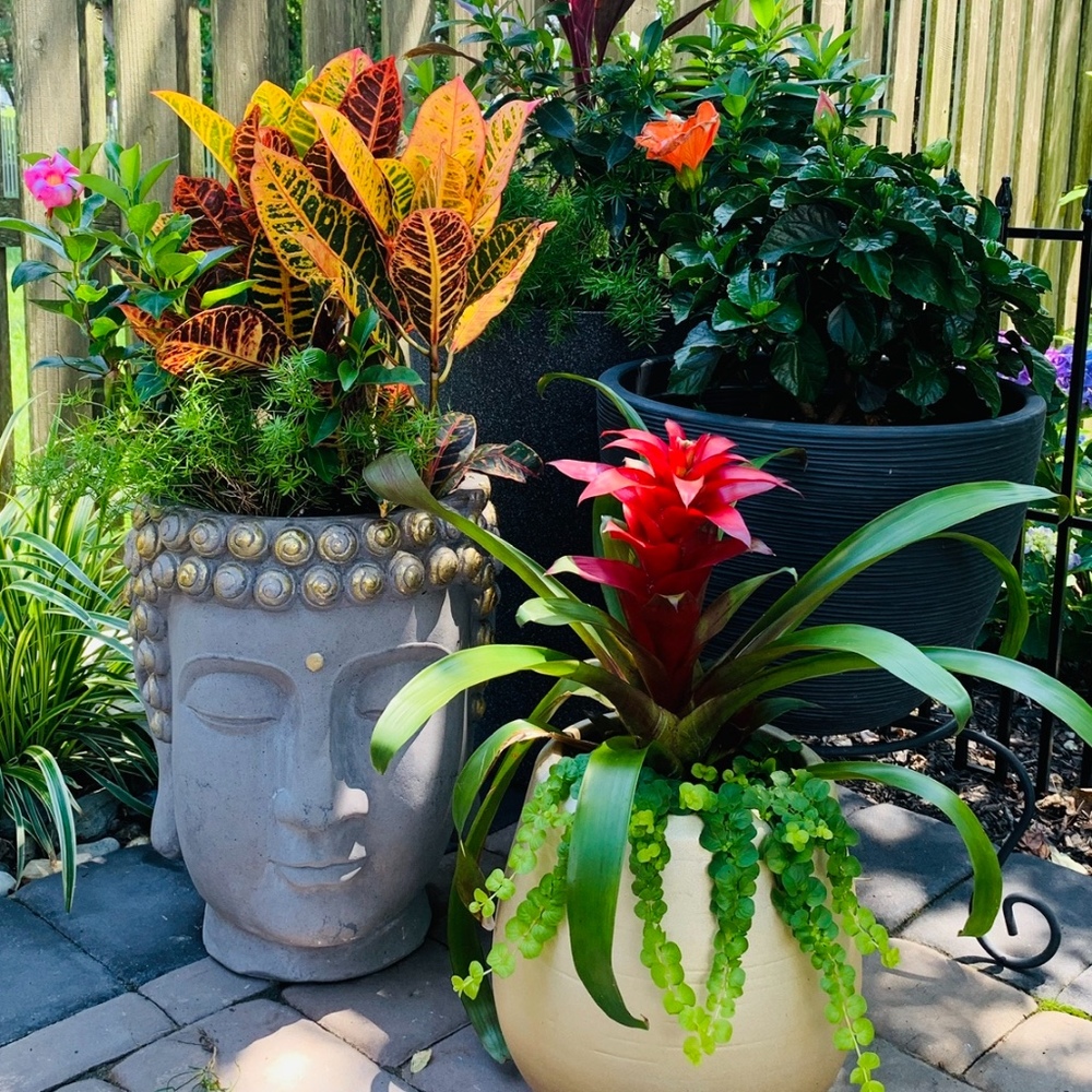 Meet your Posher, Georgina